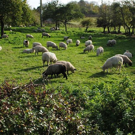 Stable Cottage Devizes Εξωτερικό φωτογραφία