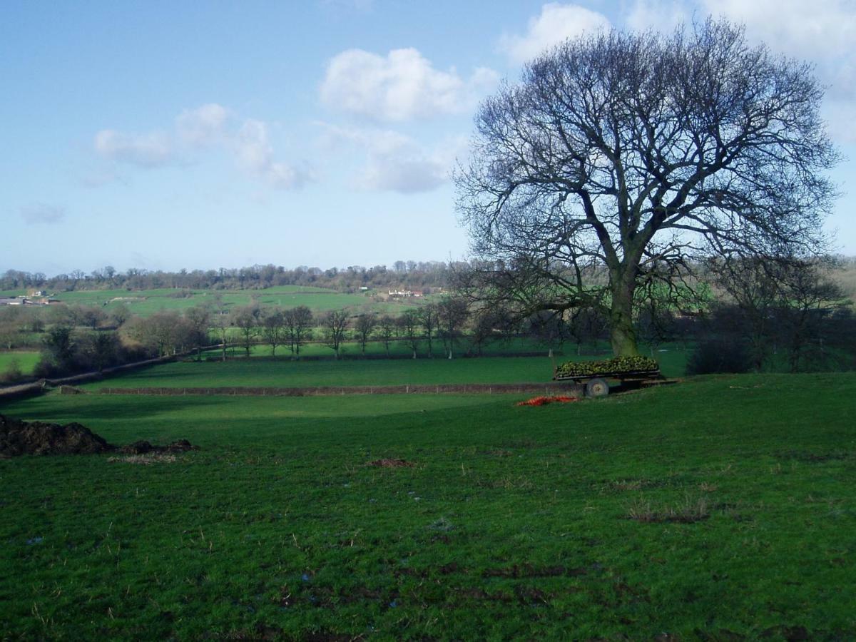 Stable Cottage Devizes Εξωτερικό φωτογραφία