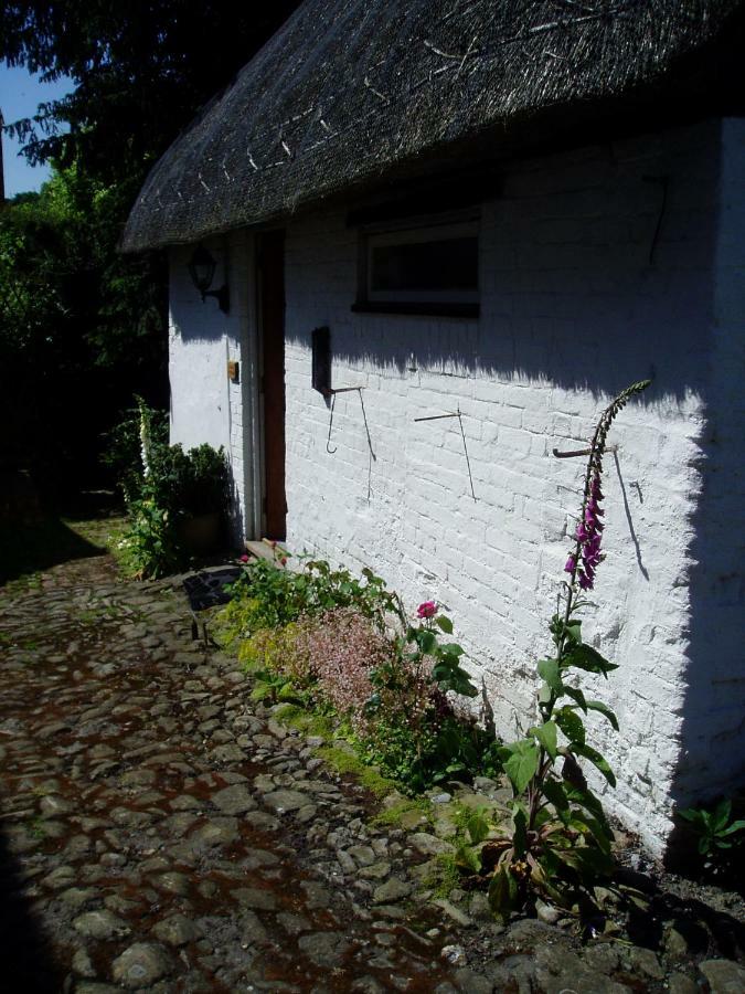 Stable Cottage Devizes Εξωτερικό φωτογραφία